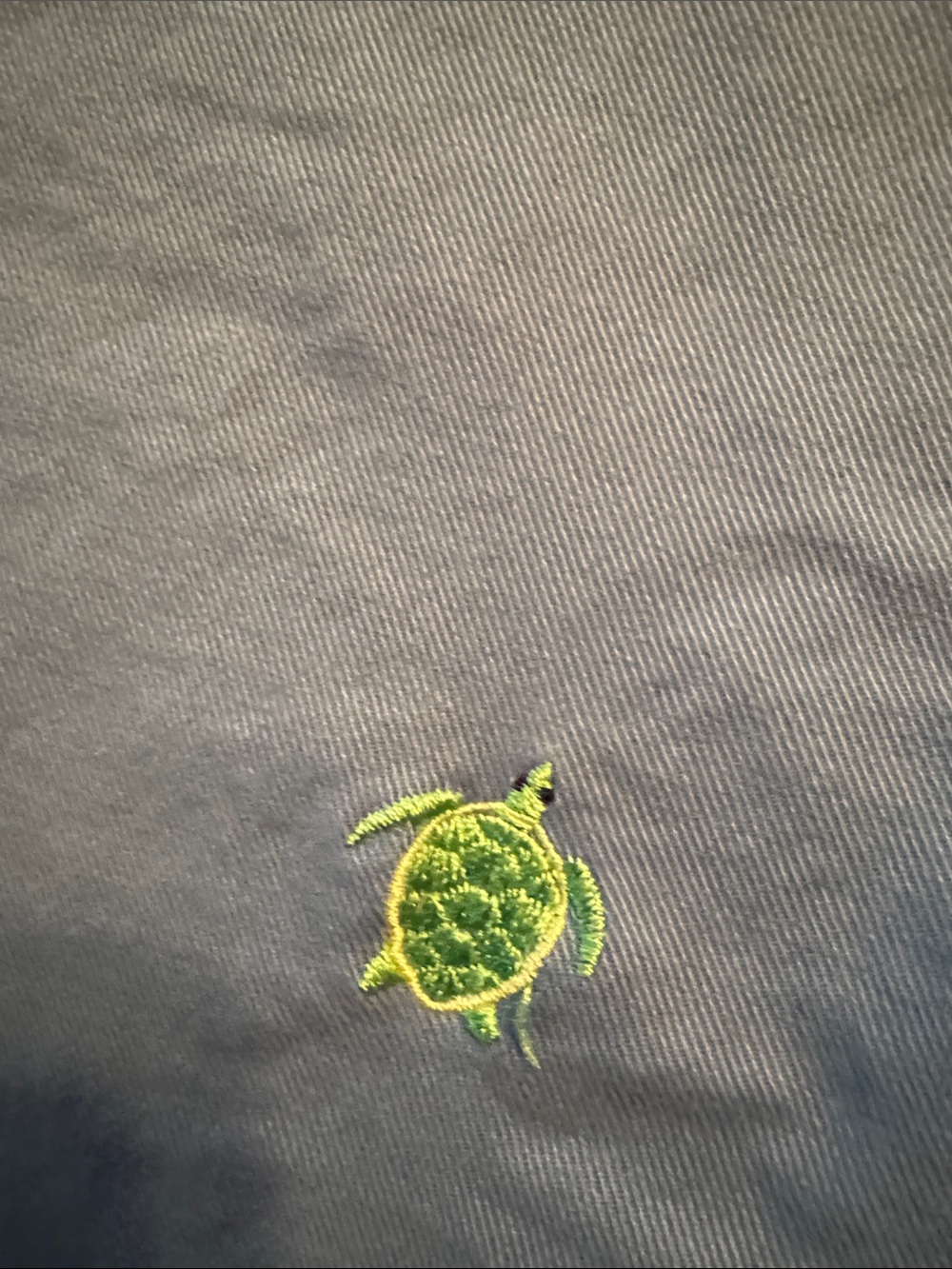 Talbots Navy Blue Shorts with Neon Green Embroidered Turtles - Picture 3 of 4